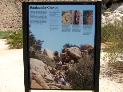Joshua Tree Wayside circa early 2000s - Rattlesnake Canyon