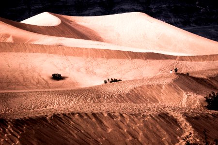 Sand Dunes at Mesquite photo