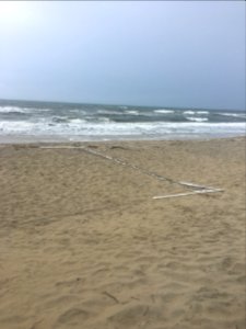 Beach Hazards - Volleyball Net