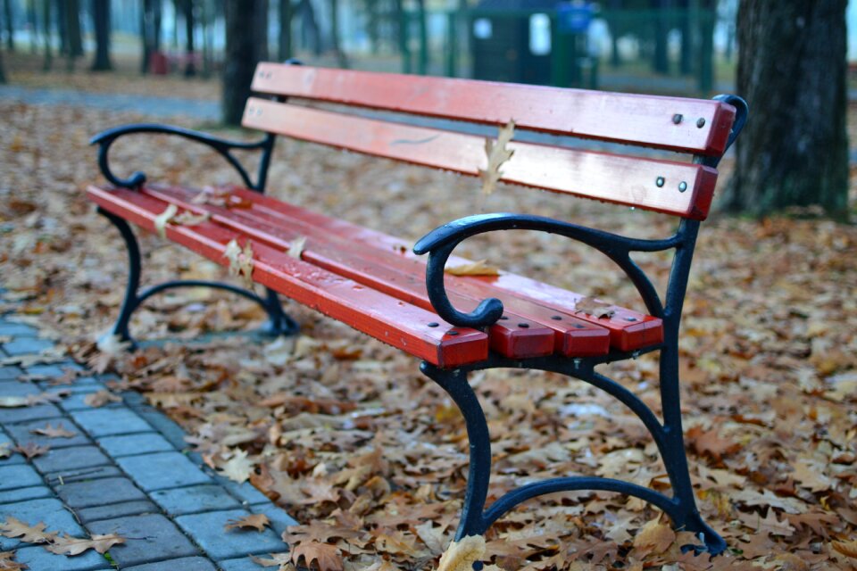 Autumn reverie spacer
