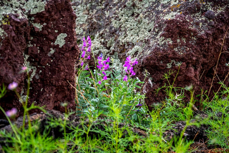 Crater Hike (August 26, 2018)