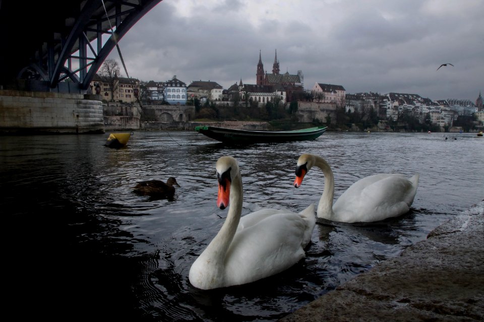 basel