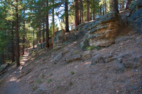 Grand Canyon North Rim photo