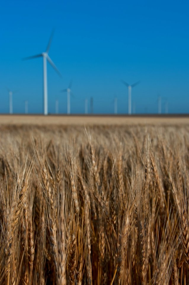 Road Trip: Windmills