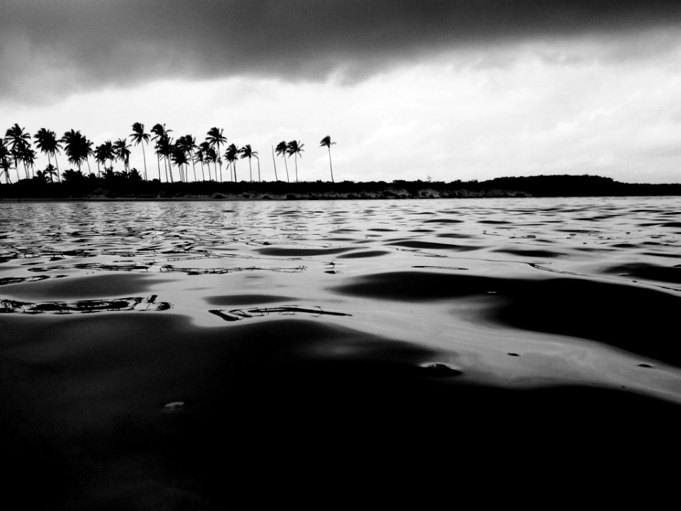 Waves of joy are drifting through my opened mind...