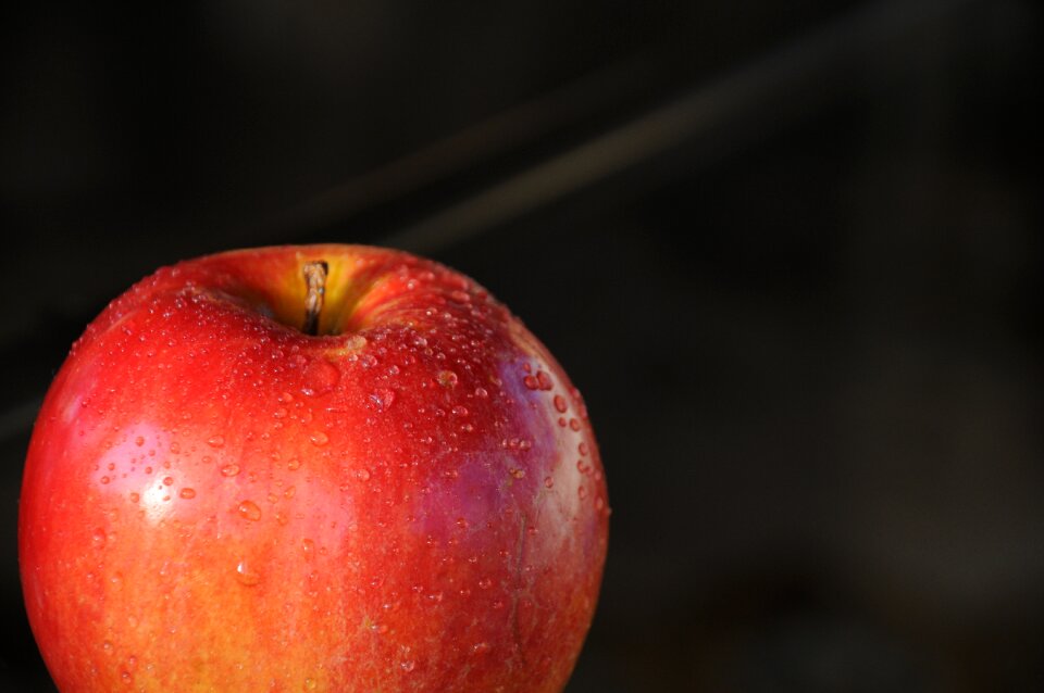 Autumn apfelernte healthy