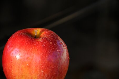 Autumn apfelernte healthy