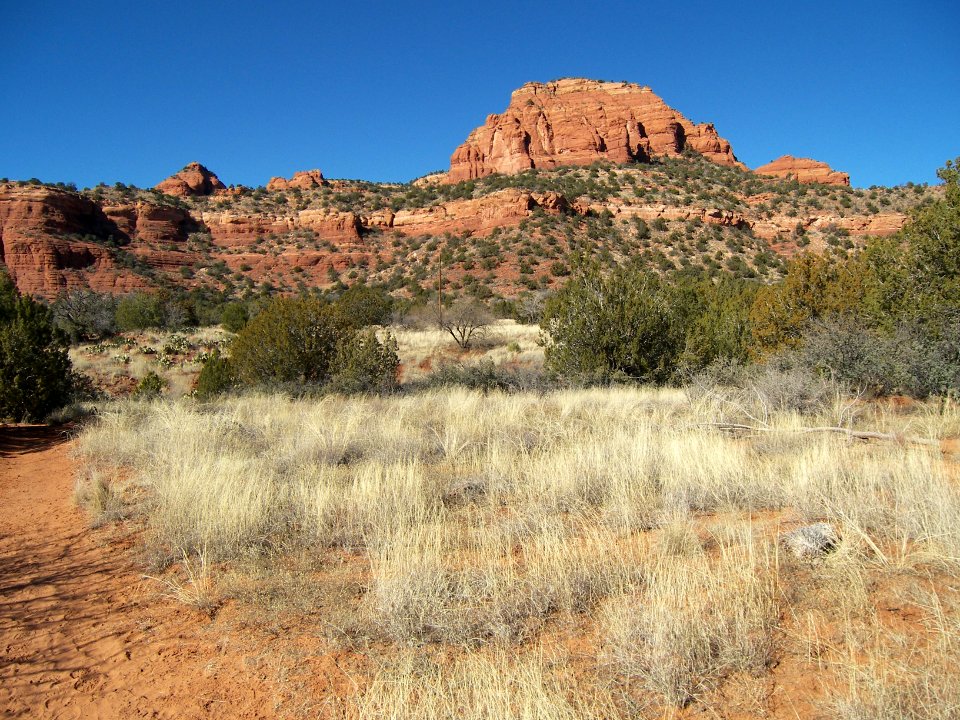Bear Mountain Trail
