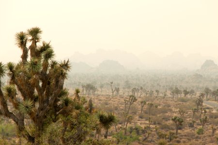 Smoke from the June 2015 Lake Fire in the park photo