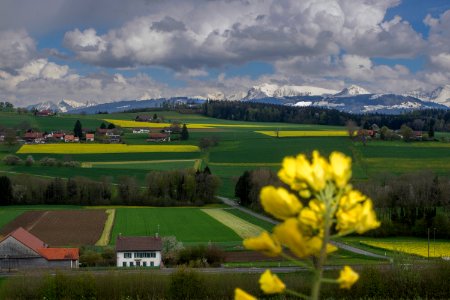 Vue du Jorat