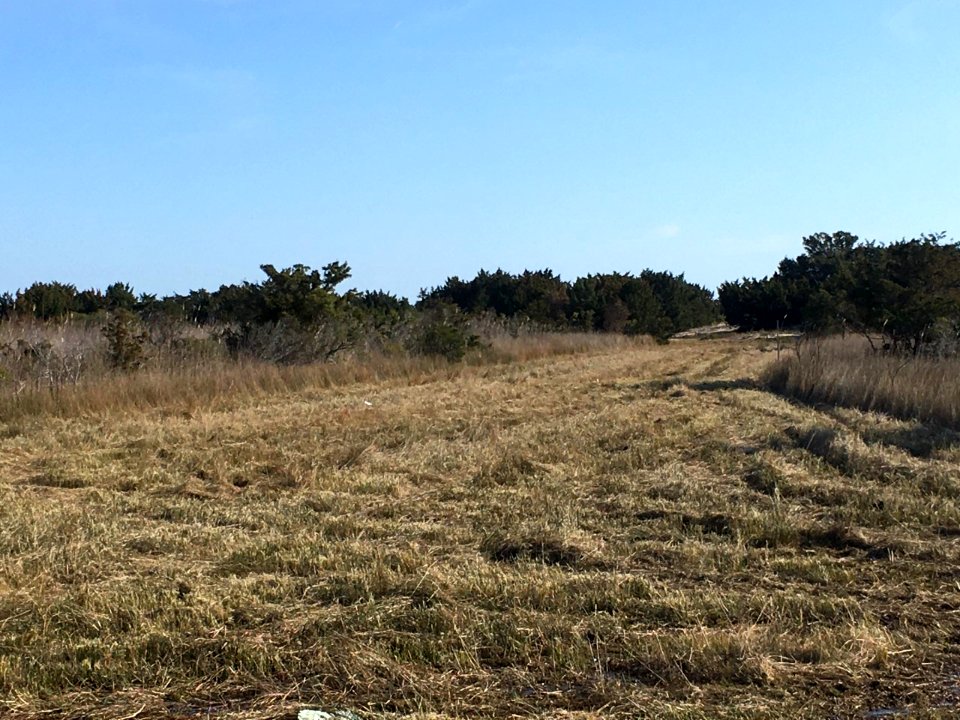 Ocracoke fuel break 2020