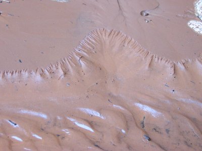 Lake Powell - Davis Gulch 2005