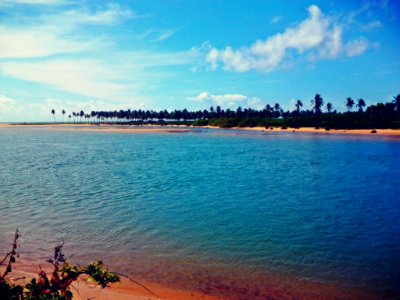 Sky of blue and sea of green...
