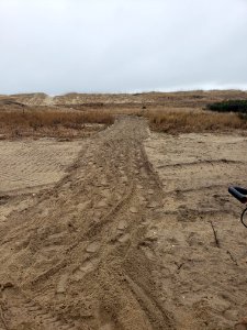 Parking area walking path near sound side ramp 48