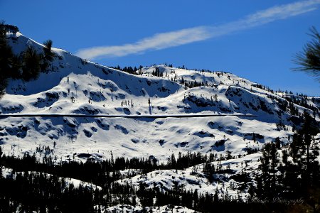 Donner Snowsheds