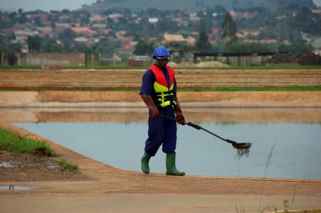 Waste Stabilization Pond