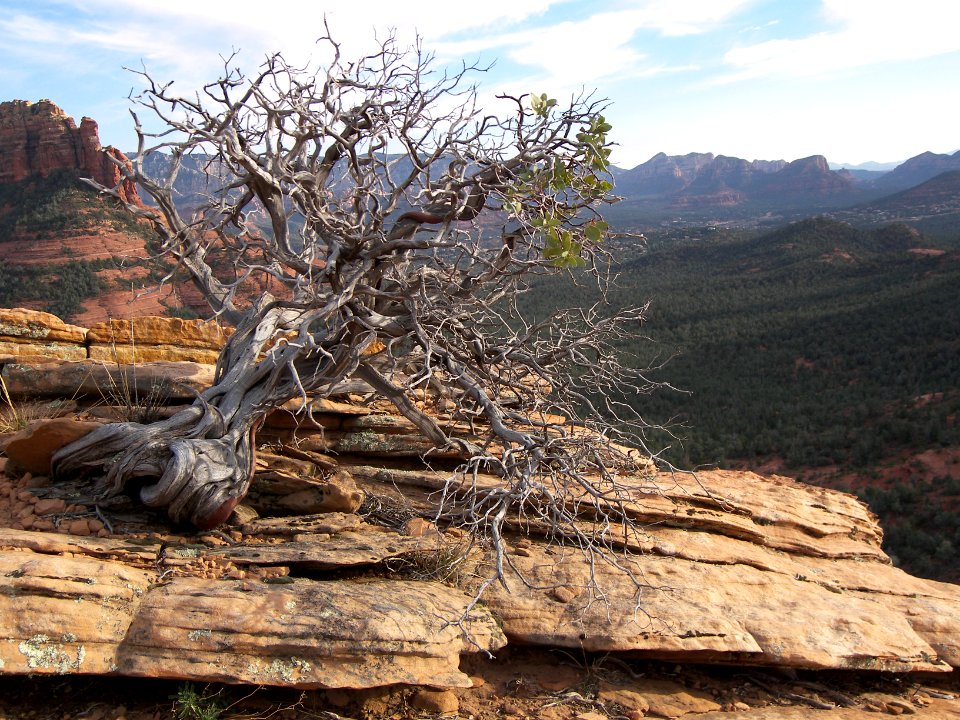 Brins Mesa Rim