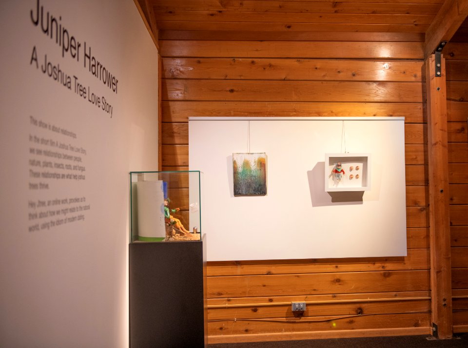 Black Rock Gallery: Juniper Harrower