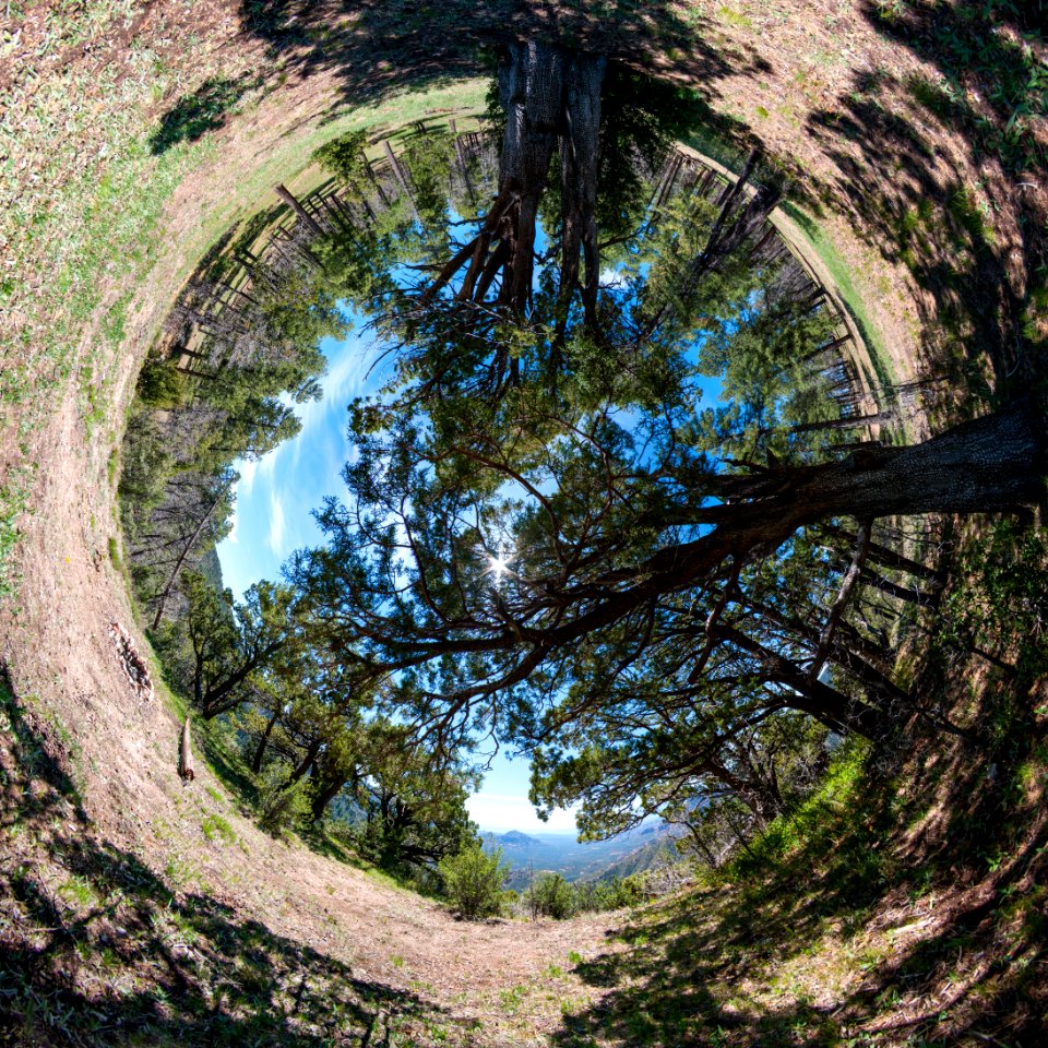 East Pocket, Woody Mountain Road