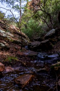 Loy Canyon Trail