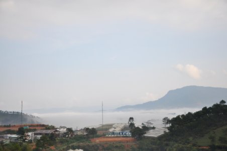 DSC 0306