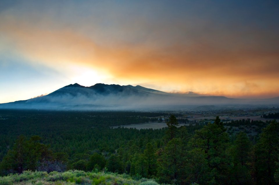 Shultz Fire