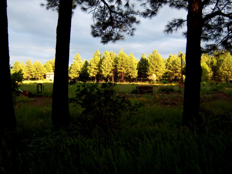 The Arboretum at Flagstaff