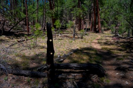 Secret Mountain Trail