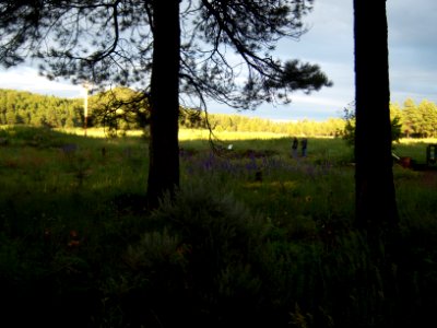 The Arboretum at Flagstaff photo