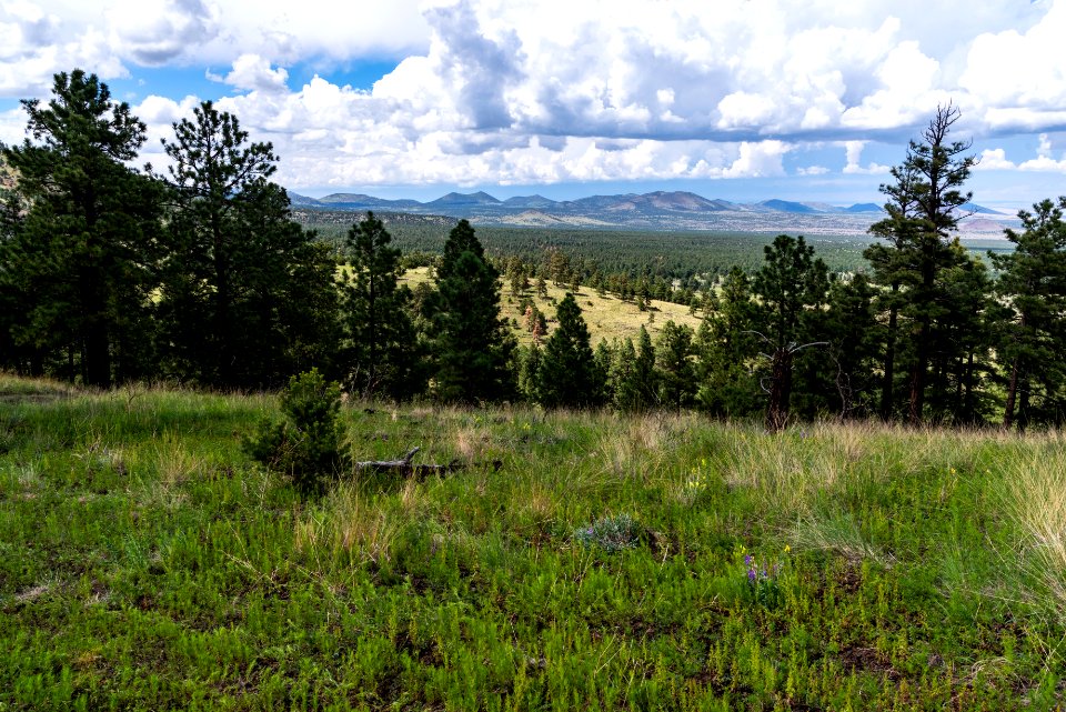 Crater Hike (August 26, 2018)