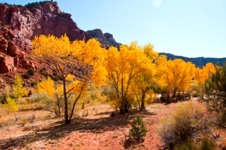 Paria River (side canyon)