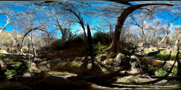 100 0017a Panorama