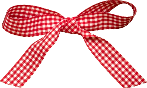 Ajanner-bow-ribbon-check-002--cu4cu