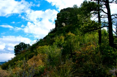 Kelsey Trail No. 3