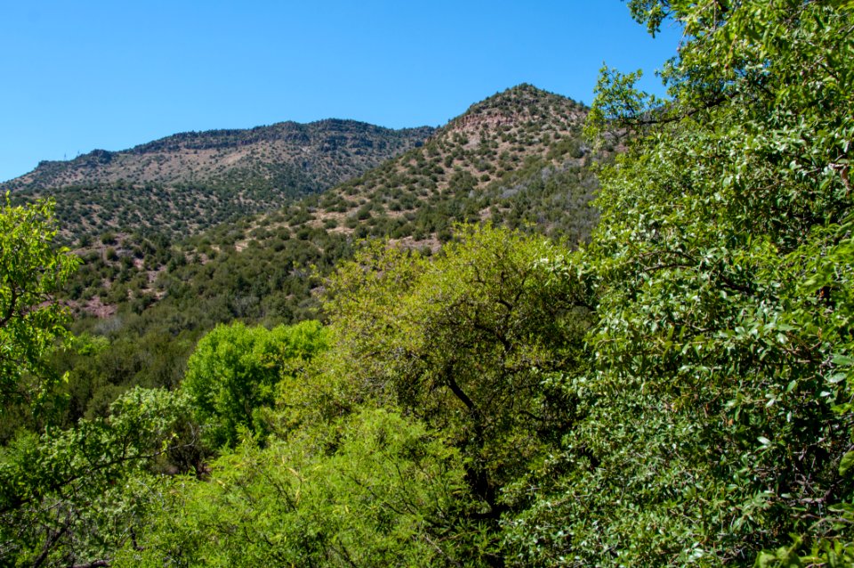 Waterfall Trail on Fossil Creek