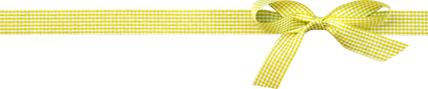 AJanner-plaid-bow-02-cu4cu