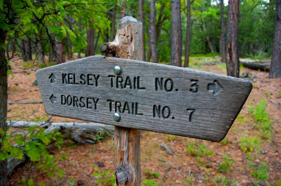 Kelsey Trail No. 3