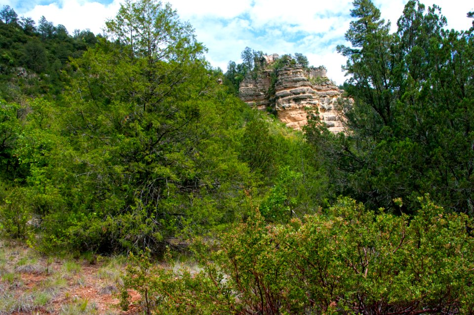 Little L.O. Trail No. 6