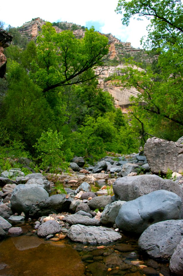 Little L.O. Trail No. 6