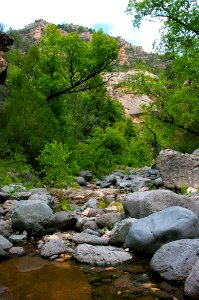 Little L.O. Trail No. 6