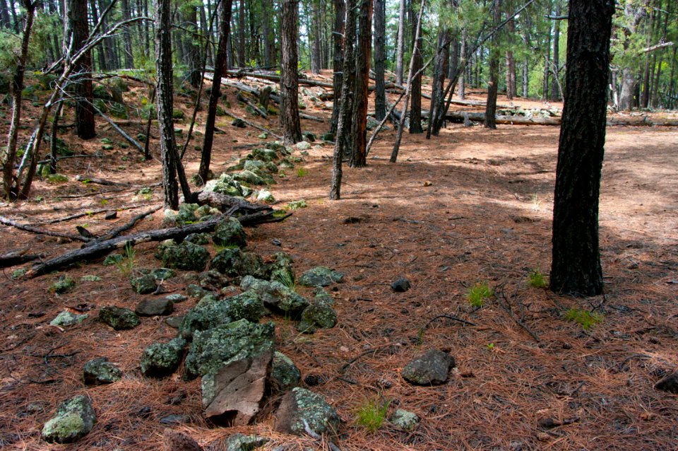 Kelsey Trail No. 3