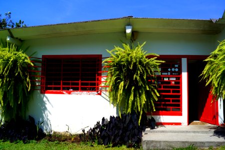 DSC07026