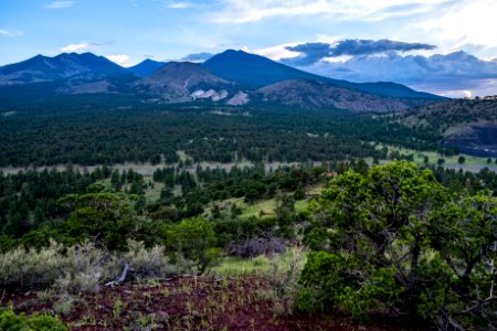 San Francisco Peaks photo