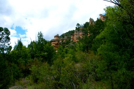 Little L.O. Trail No. 6