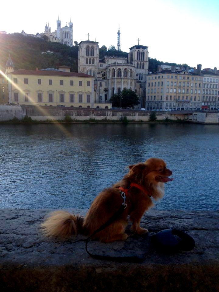 C. au bord de la Saône à Lyon, France