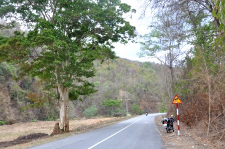 DSC 0175