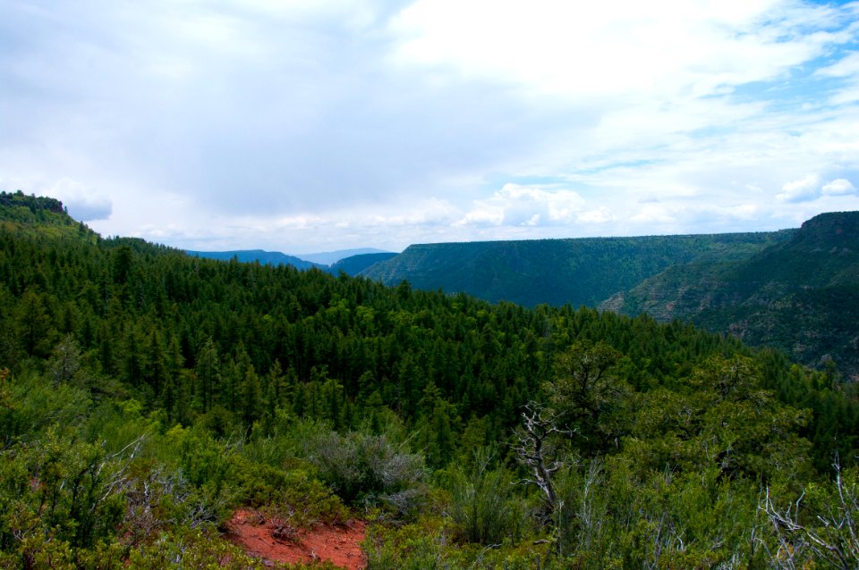 Kelsey Trail No. 3
