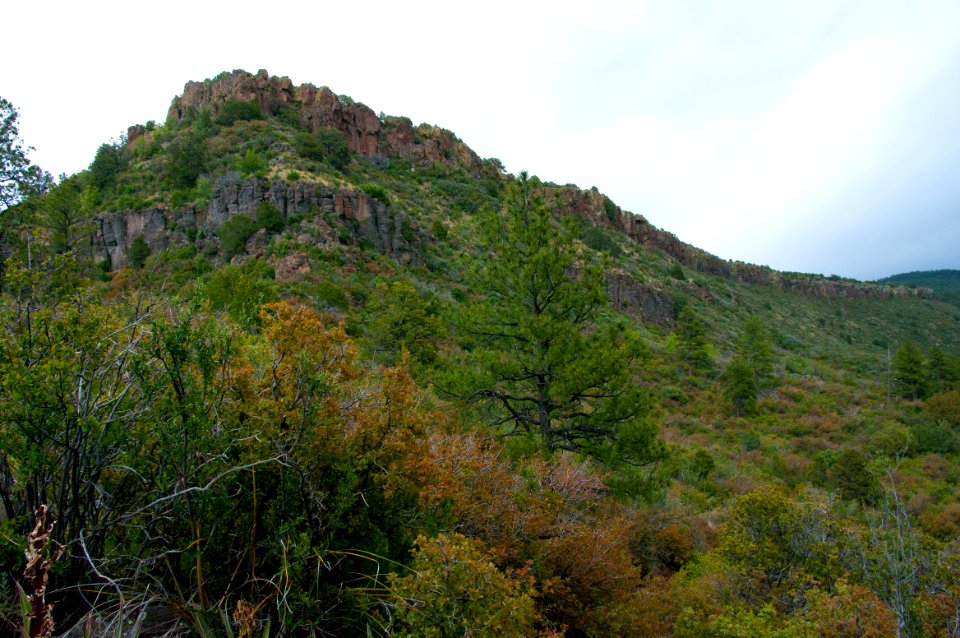 Kelsey Trail No. 3