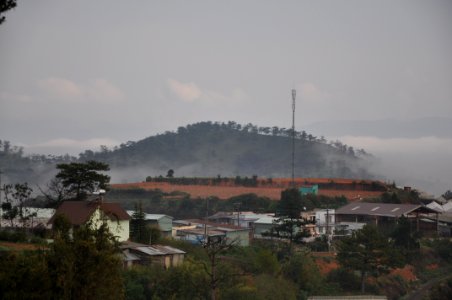 DSC 0311