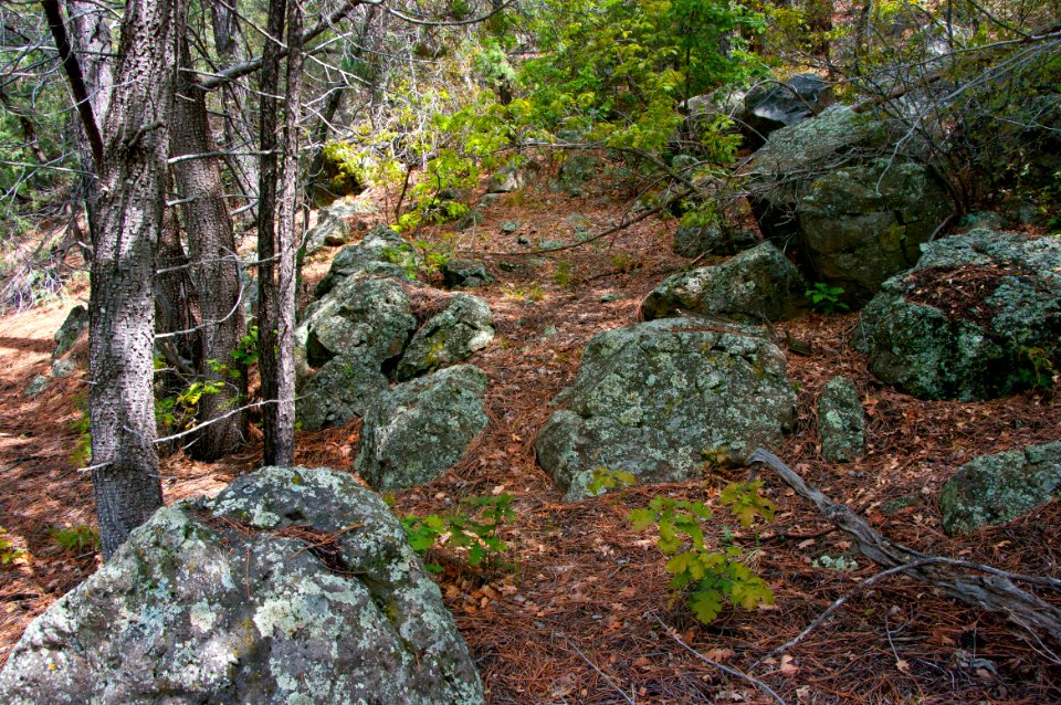 Kelsey Trail No. 3
